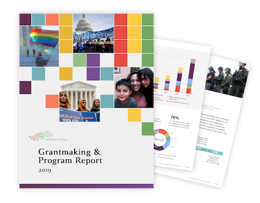 2019 Grantmaking and Program Report - Proteus Fund