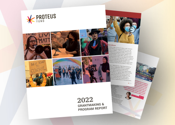 2022 Grantmaking & Program Report - Proteus Fund