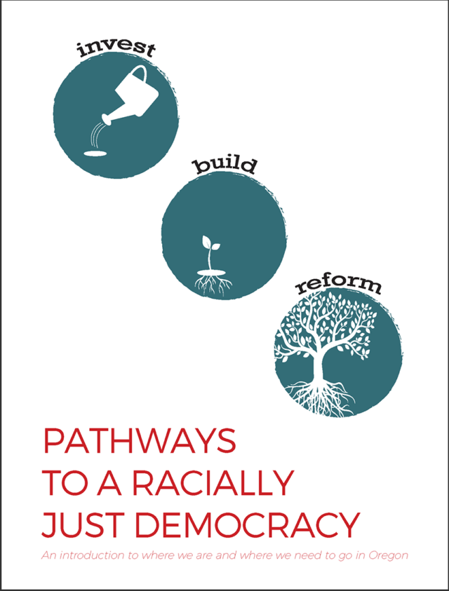 Pathways to a Racially Just Democracy