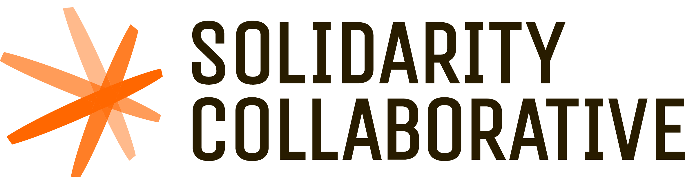 Solidarity Collaborative