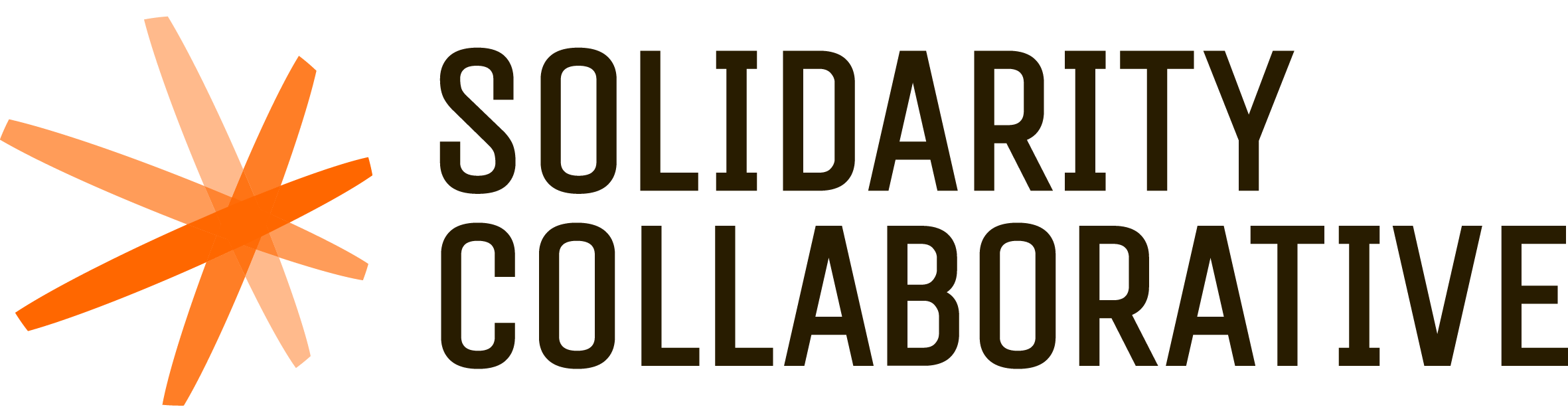 Solidarity Collaborative